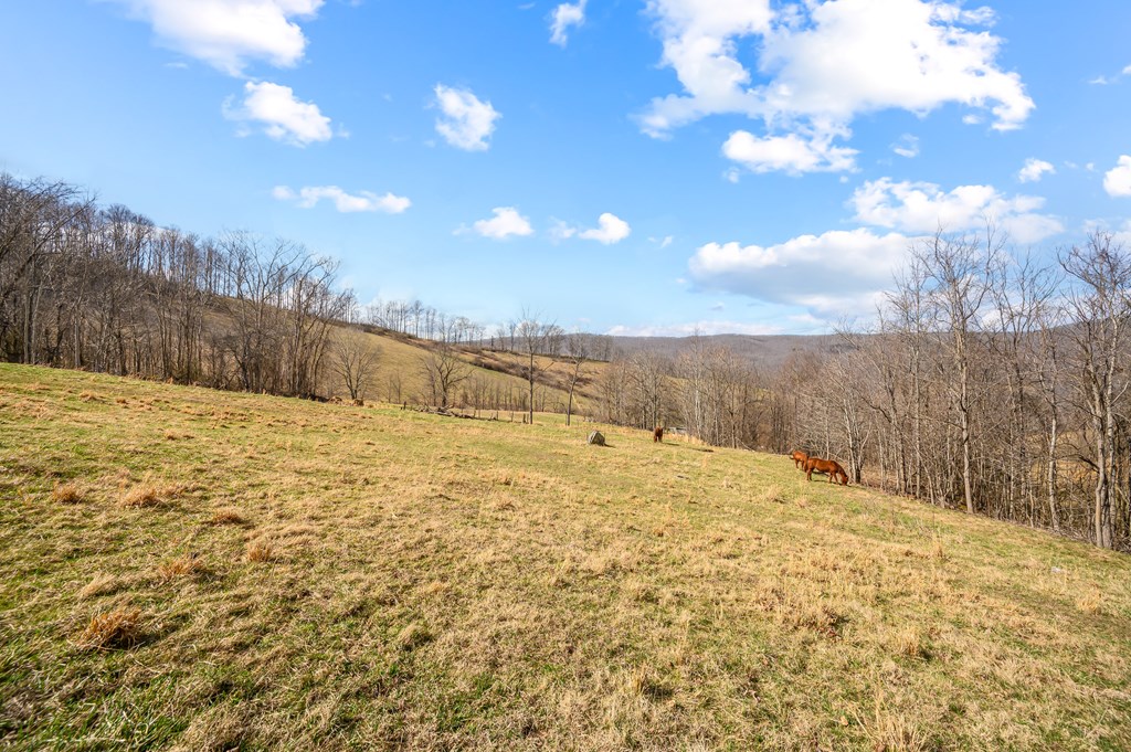 568 Round Bottom Dr. Property Photo 57