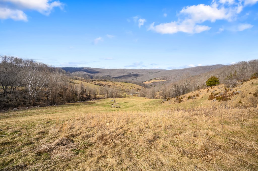 568 Round Bottom Dr. Property Photo 59
