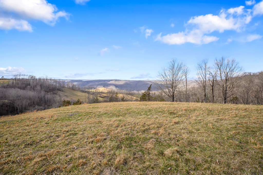 568 Round Bottom Dr. Property Photo 60