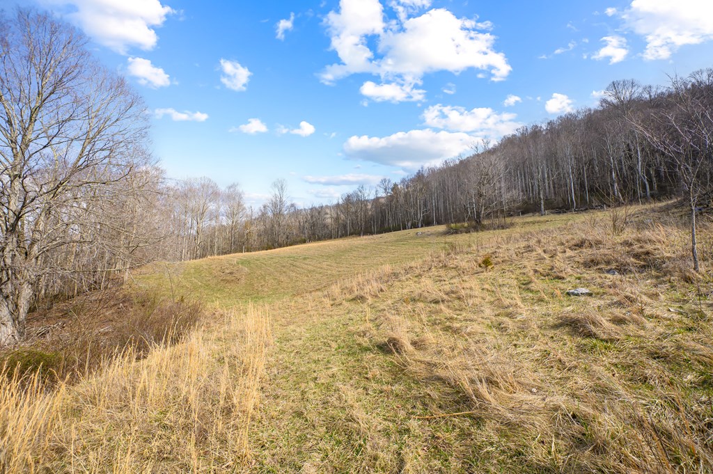 568 Round Bottom Dr. Property Photo 61