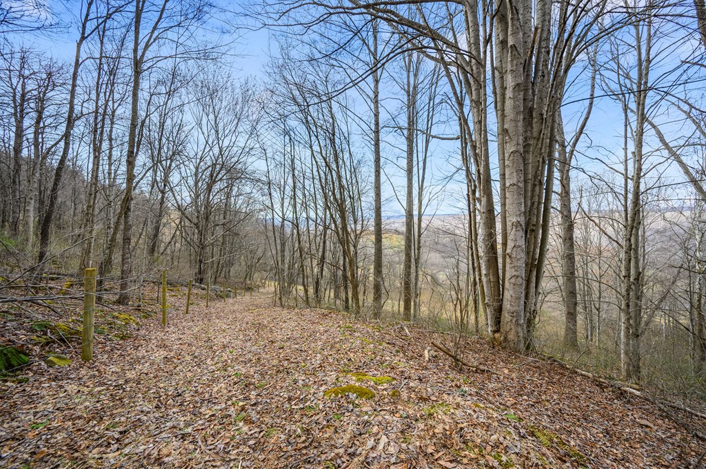 568 Round Bottom Dr. Property Photo 64