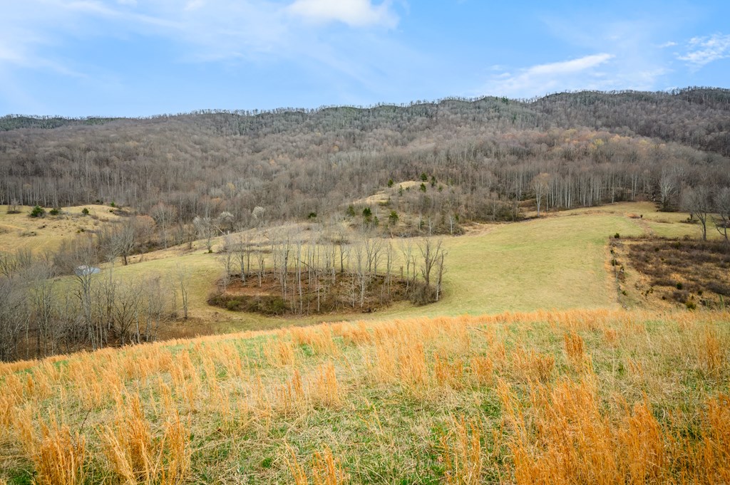 568 Round Bottom Dr. Property Photo 68