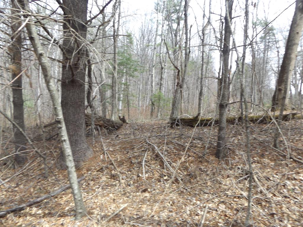 619 Shady Ln. Property Photo 1