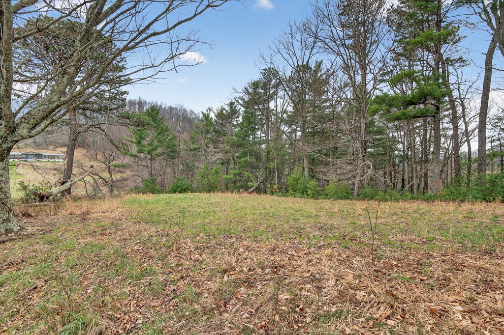 329 Mill Creek Property Photo 37