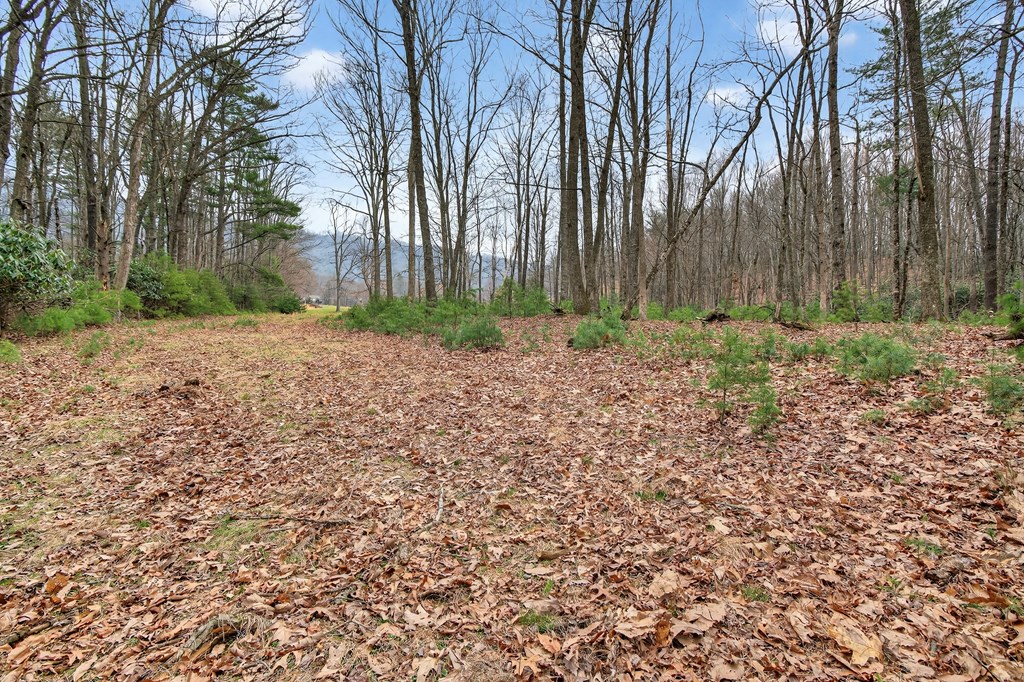 329 Mill Creek Property Photo 40