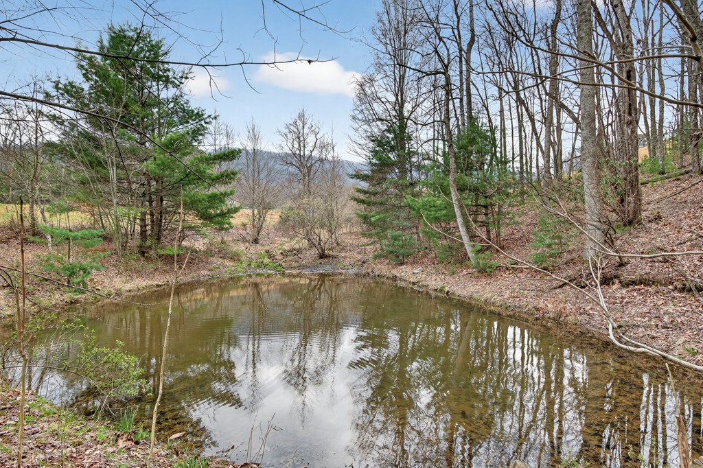 329 Mill Creek Property Photo 41