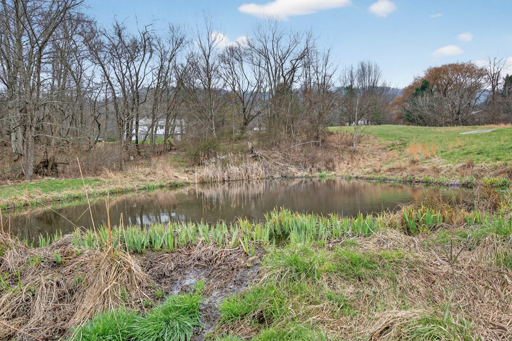 329 Mill Creek Property Photo 43