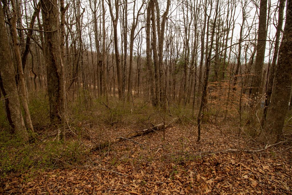 Lot 356 Scotch Pine Dr Property Photo 1