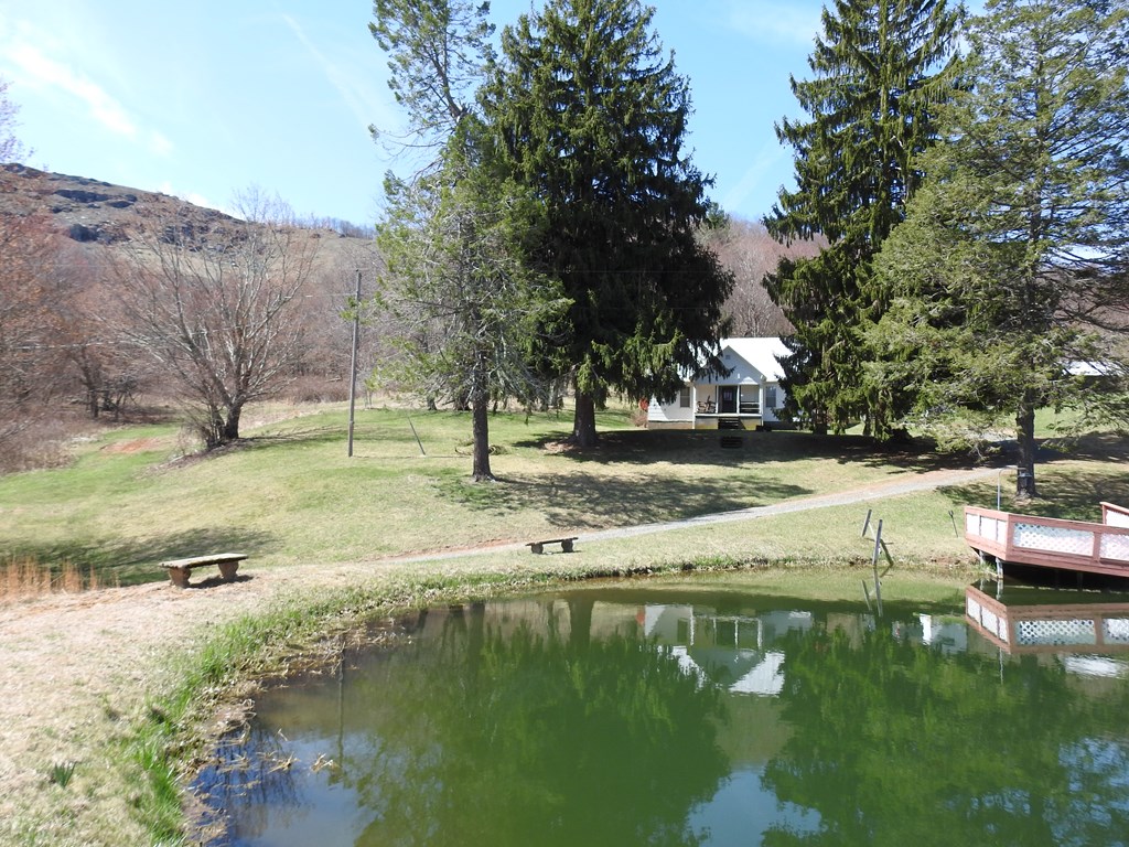 984 Cloverdale Lane Property Photo 4