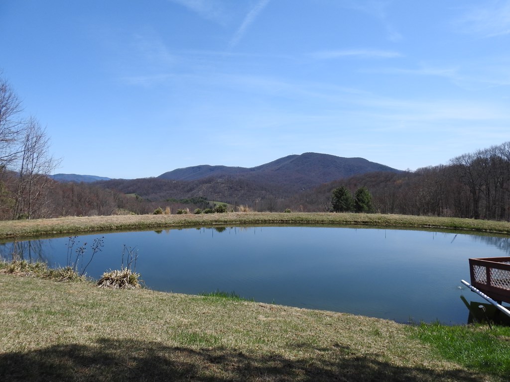 984 Cloverdale Lane Property Photo 11