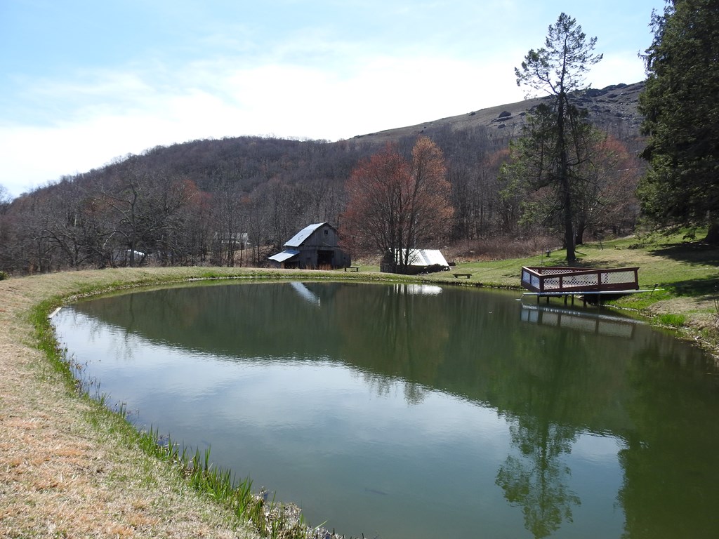 984 Cloverdale Lane Property Photo 35