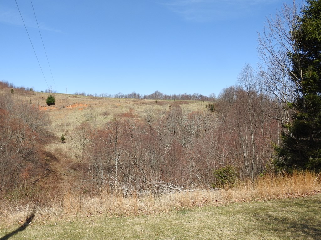 984 Cloverdale Lane Property Photo 38