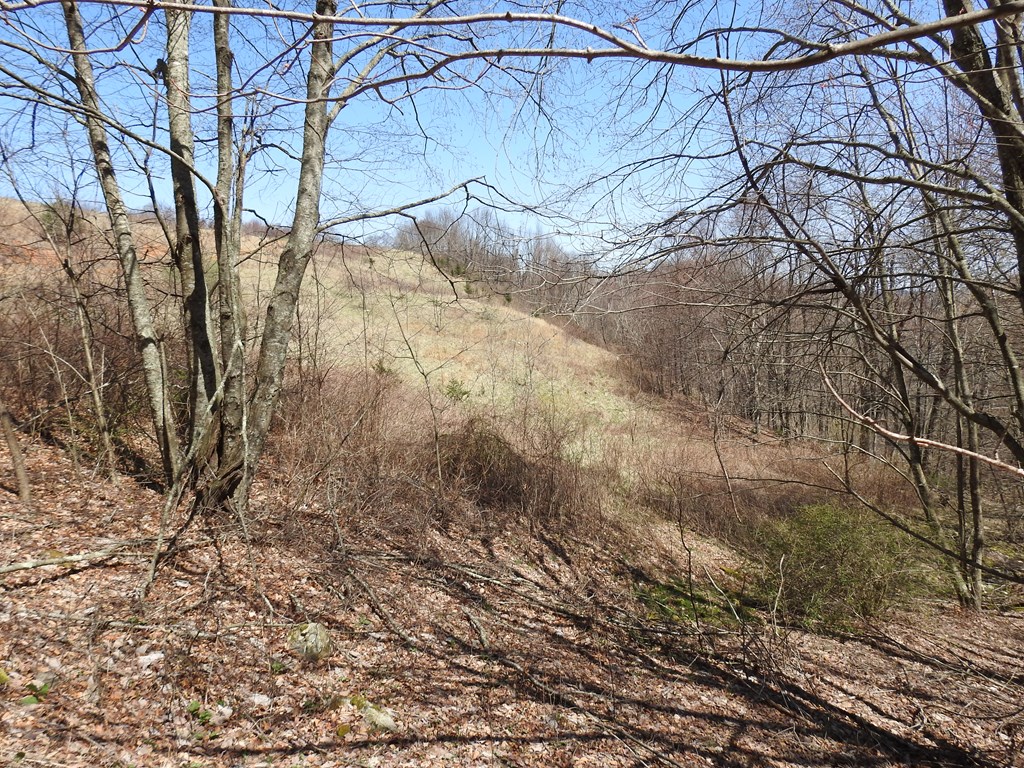 984 Cloverdale Lane Property Photo 40
