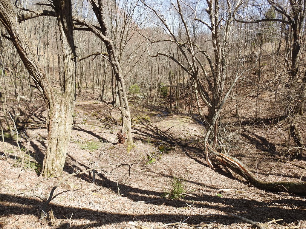 984 Cloverdale Lane Property Photo 41