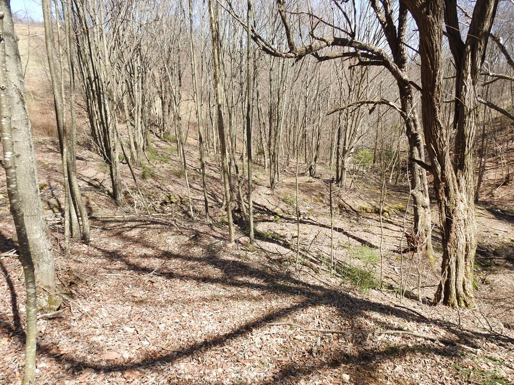 984 Cloverdale Lane Property Photo 43