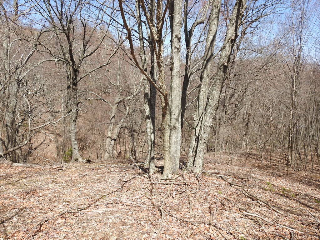 984 Cloverdale Lane Property Photo 45