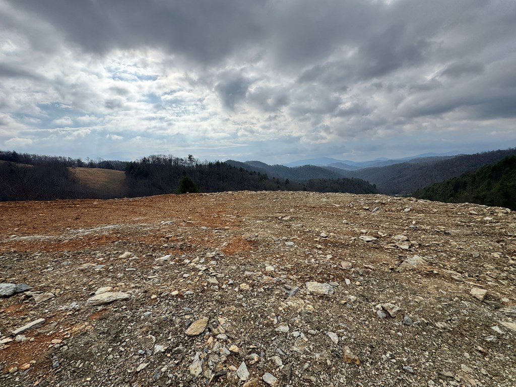 Tbd Bear Wallow Rd. Property Photo 5