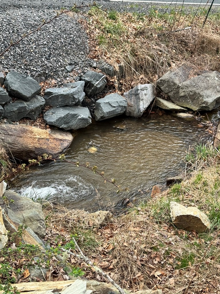 Tbd Bear Wallow Rd. Property Photo 7