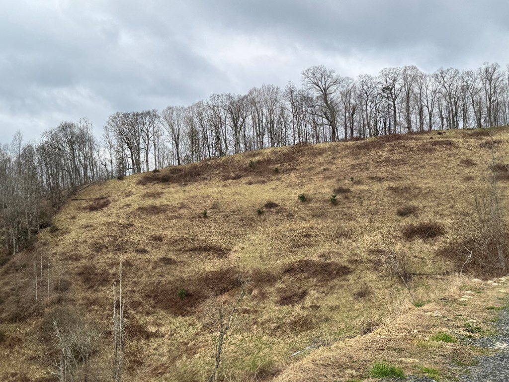 Tbd Bear Wallow Rd. Property Photo 9