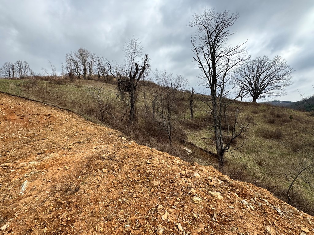 Tbd Bear Wallow Rd. Property Photo 14