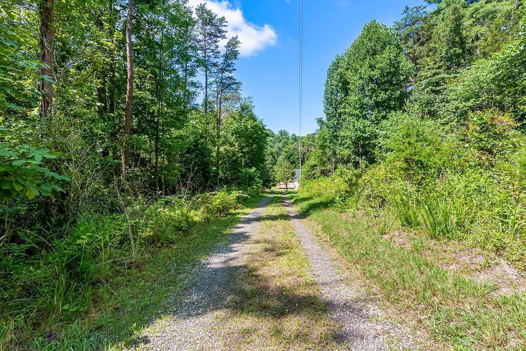 309 Timber Road Property Photo 49