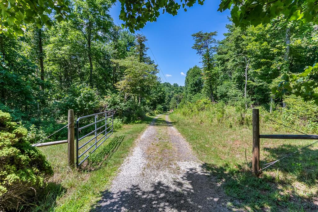 309 Timber Road Property Photo 55