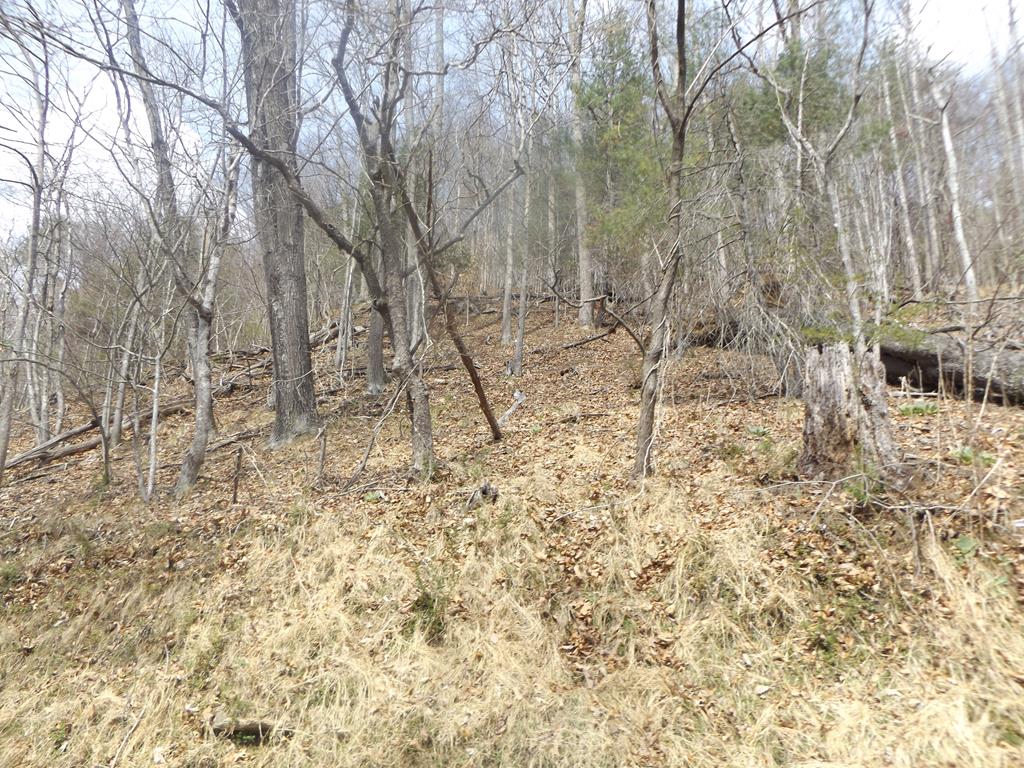 Tbd South Main St. Property Photo 1