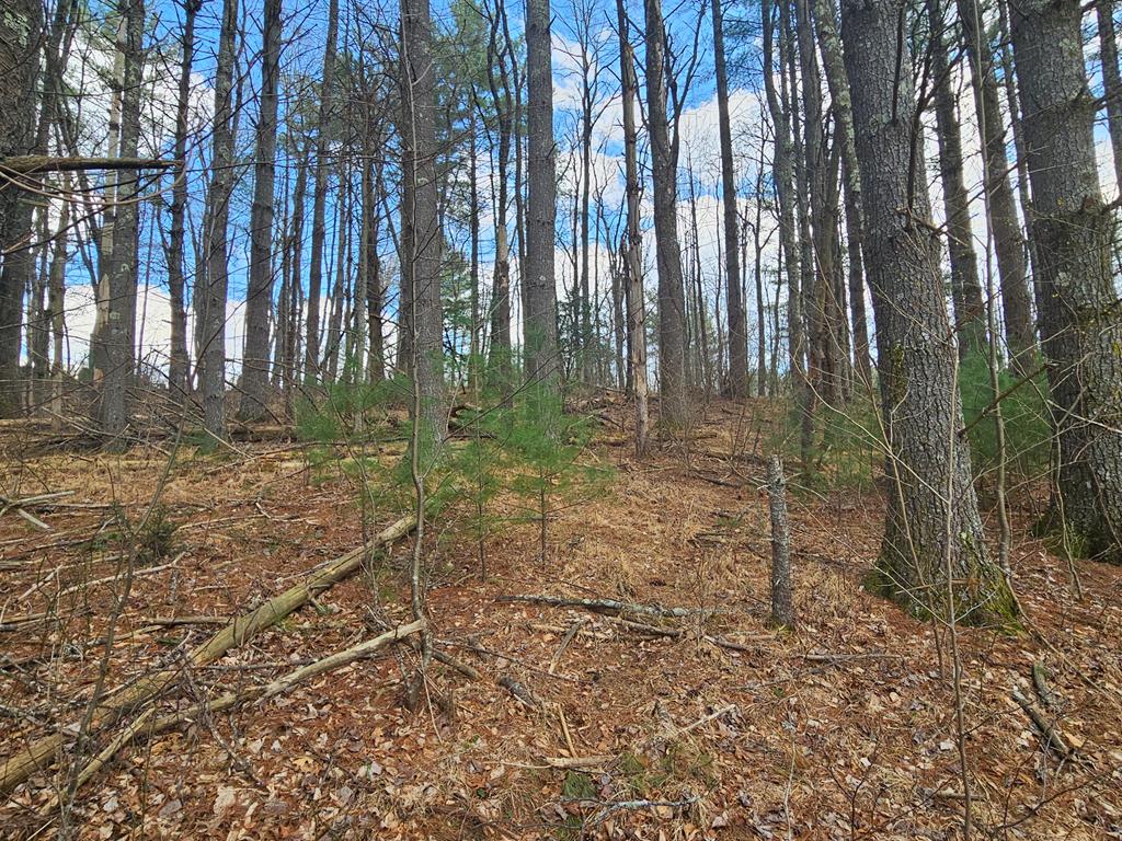 Tbd Panorama Drive Property Photo 1