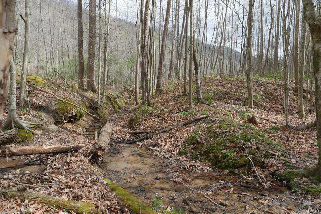 Tbd Valley Spring Road Property Photo 1