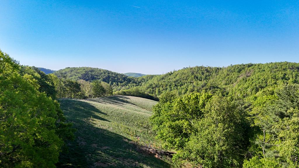 1618 Squirrel Creek Road Property Photo 6