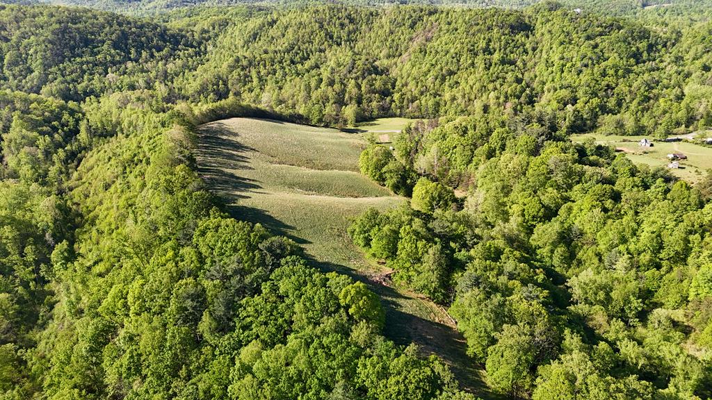 1618 Squirrel Creek Road Property Photo 7