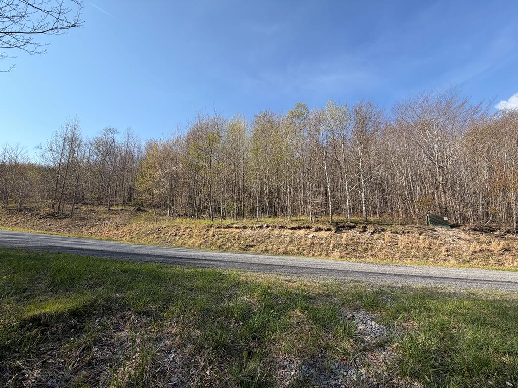 Tbd Holiday Lane Property Photo 1