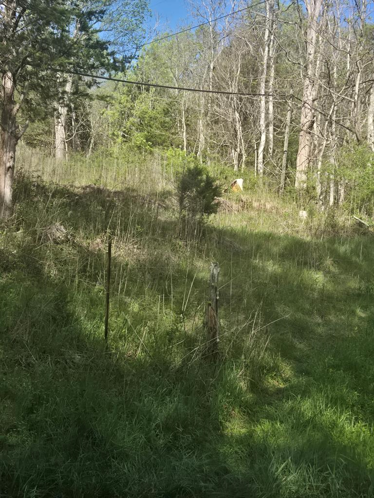 Tbd Huddle Rd. Property Photo 1
