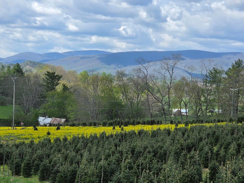 TBD Rabbit Fork Rd
