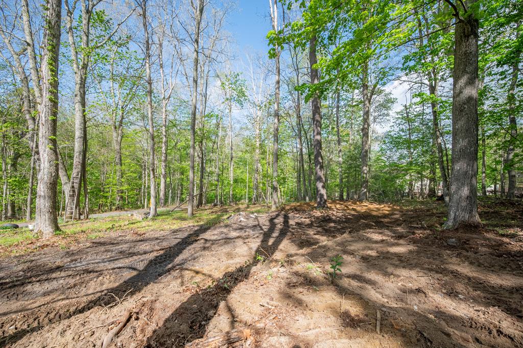 3826 S Scenic Highway Property Photo 1