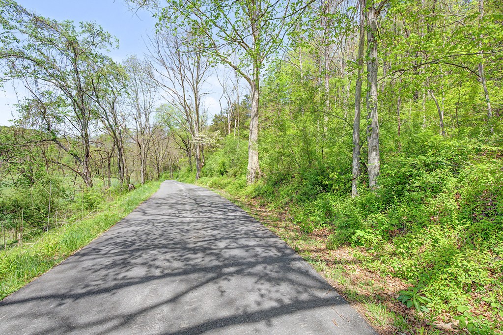805 Sunset River Rd. Property Photo 9
