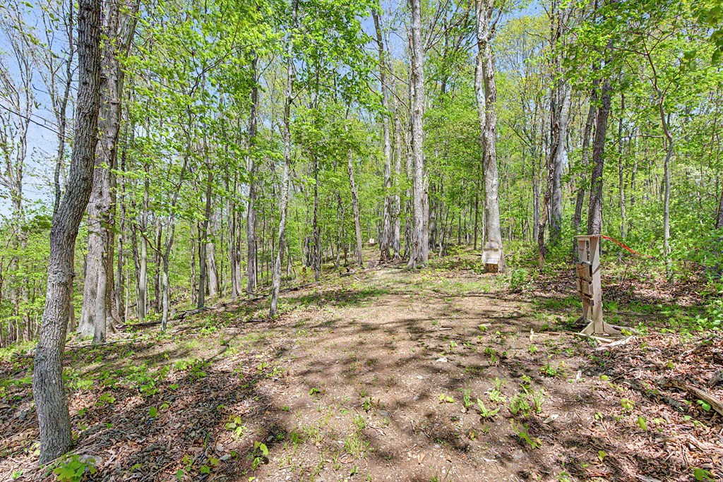 805 Sunset River Rd. Property Photo 49