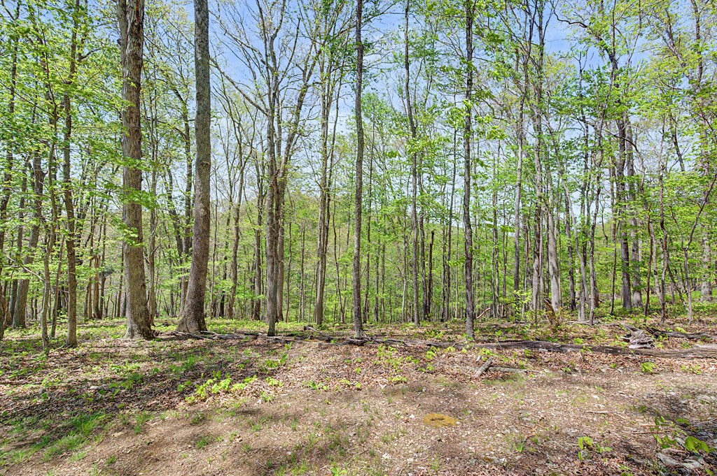 805 Sunset River Rd. Property Photo 50