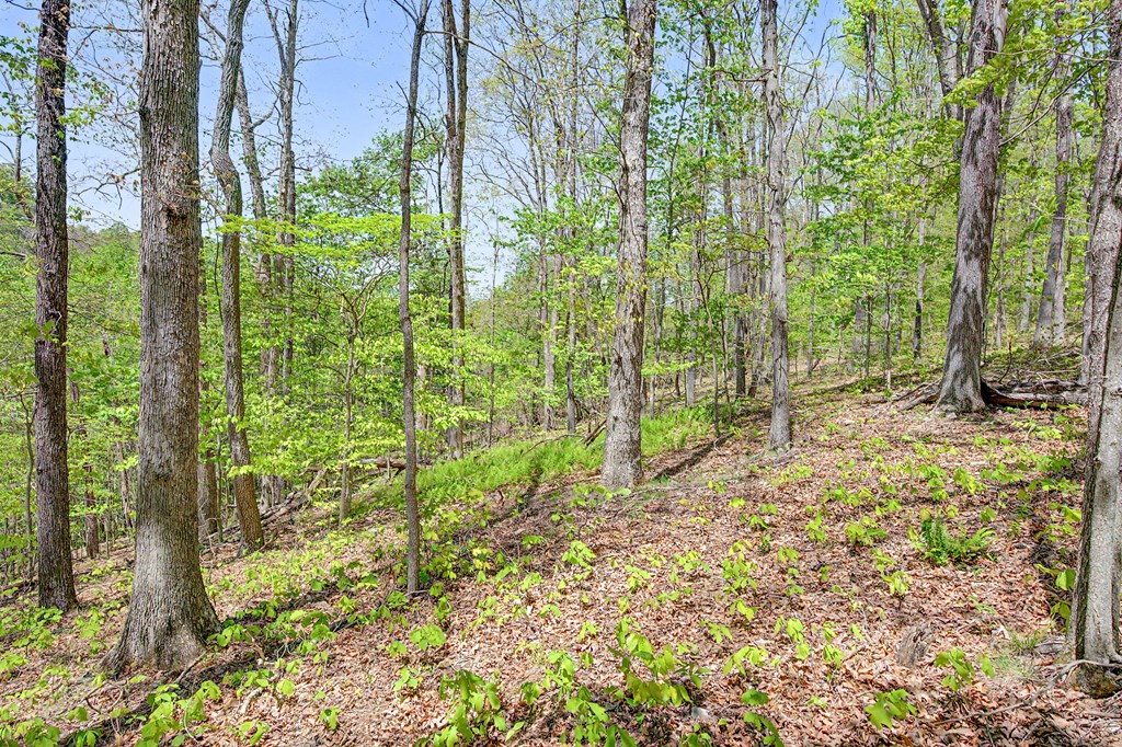 805 Sunset River Rd. Property Photo 51