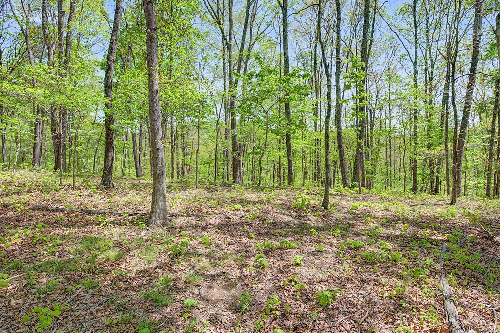 805 Sunset River Rd. Property Photo 52