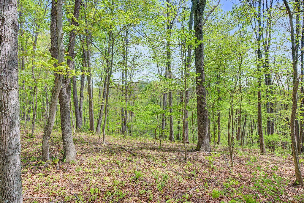 805 Sunset River Rd. Property Photo 54