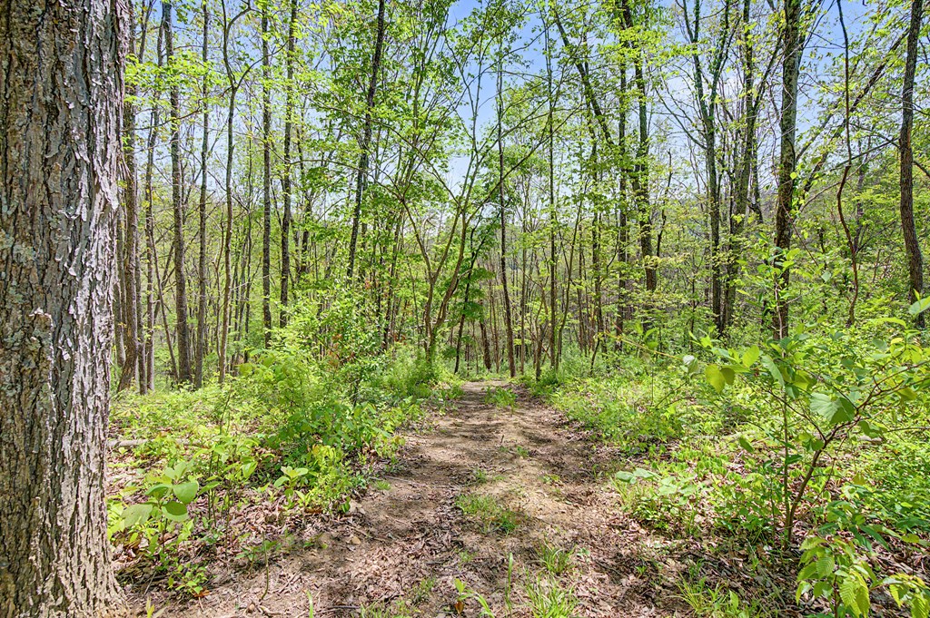 805 Sunset River Rd. Property Photo 55