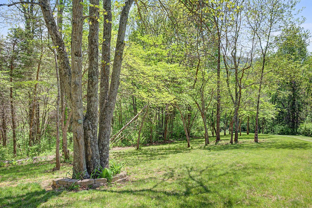 805 Sunset River Rd. Property Photo 58