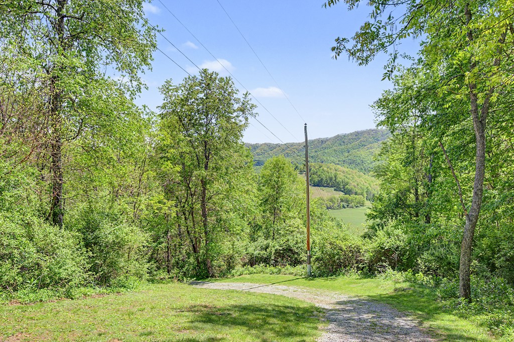805 Sunset River Rd. Property Photo 59