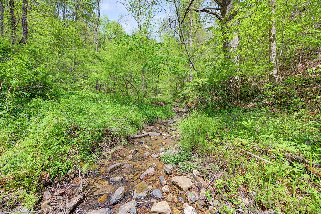 805 Sunset River Rd. Property Photo 60