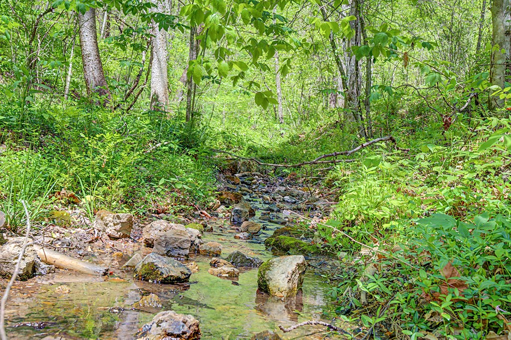 805 Sunset River Rd. Property Photo 61