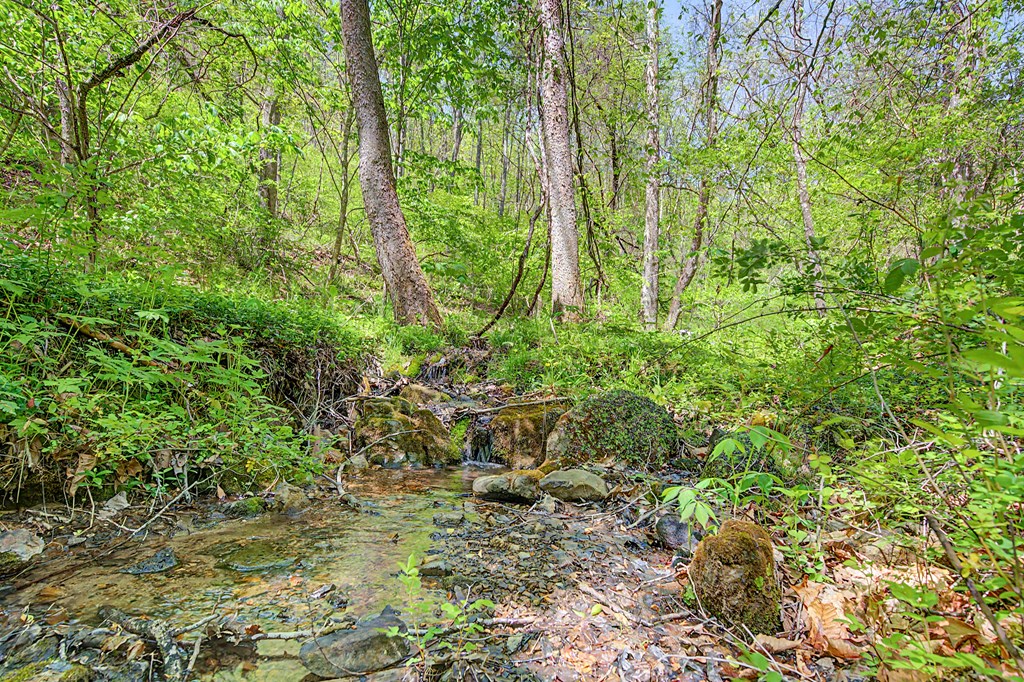 805 Sunset River Rd. Property Photo 62