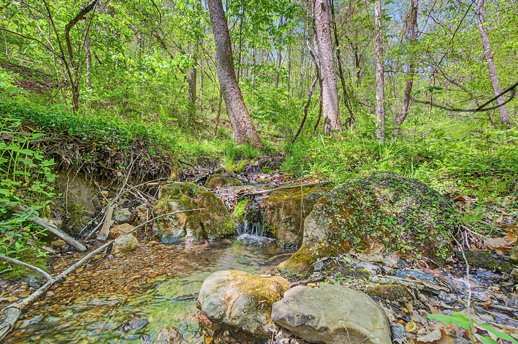 805 Sunset River Rd. Property Photo 63