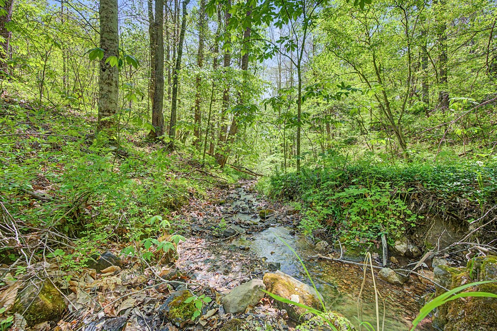 805 Sunset River Rd. Property Photo 64