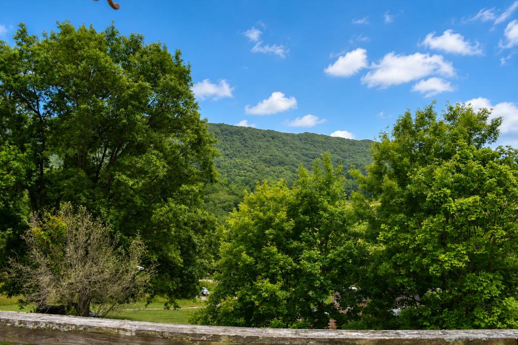 201 Zenith Property Photo 21